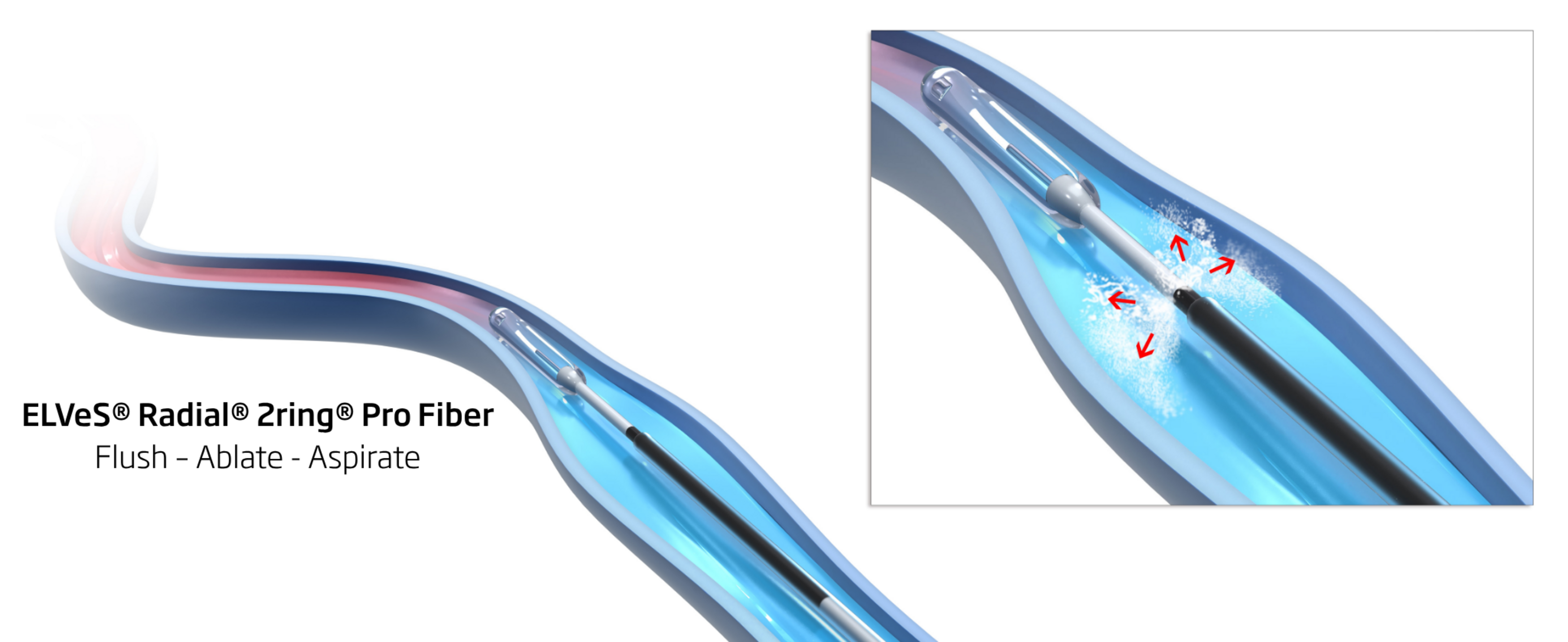 ELVeS_Pro_Webseite_2