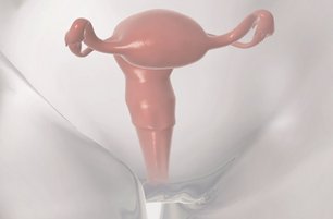 ELLA_Uterus_Ausschnitt